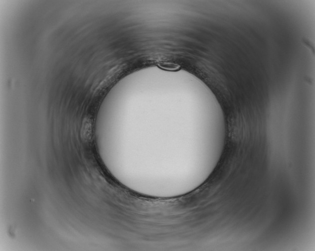 X0000103260036200809121933