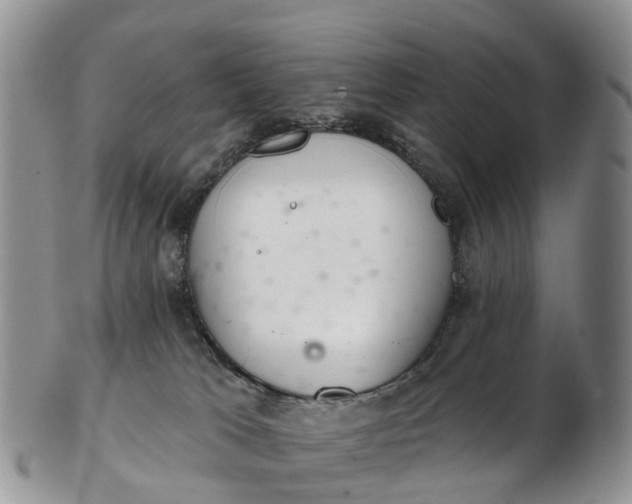 X0000103260037200809121933