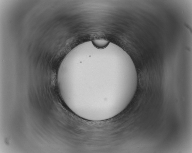 X0000103260038200809121933