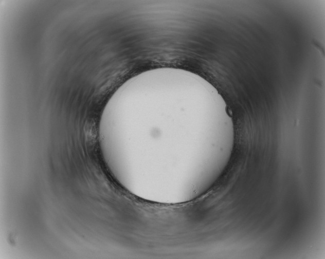 X0000103260040200809121933