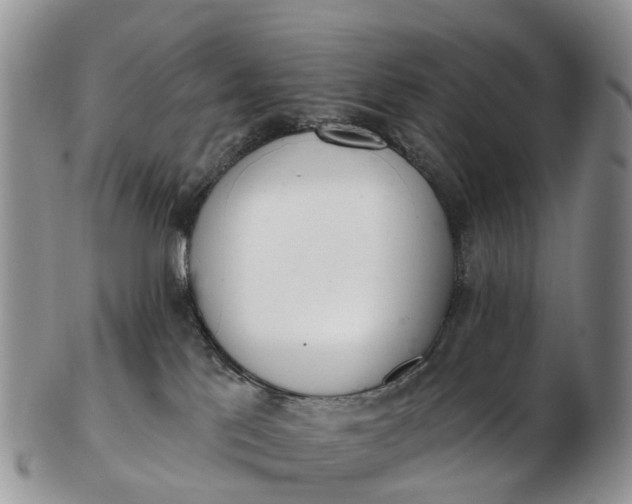 X0000103260041200809121933