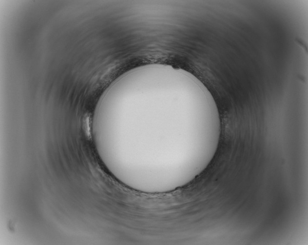 X0000103260042200809121933