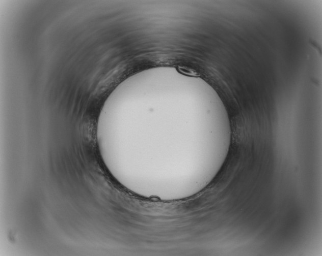 X0000103260044200809121932