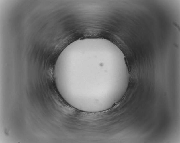 X0000103260045200809121932