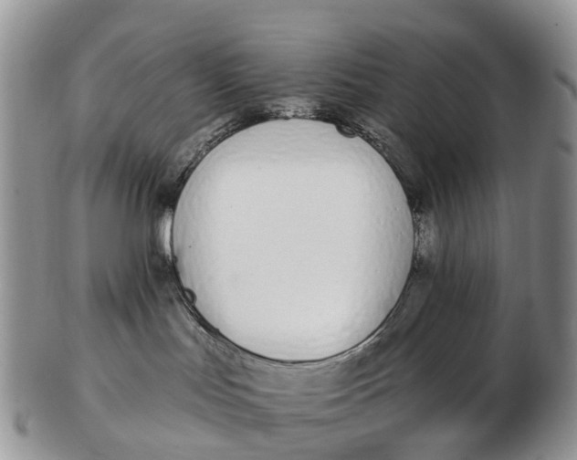 X0000103260047200809121932