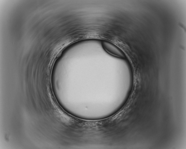 X0000103260049200809121932