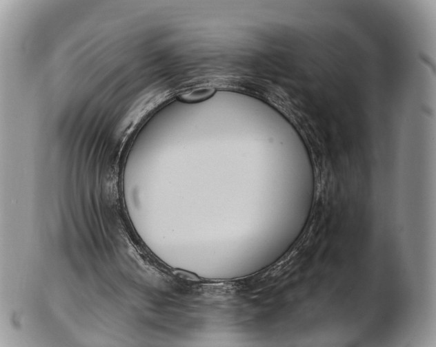 X0000103260050200809121932