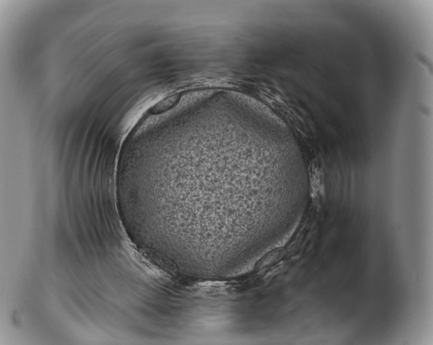 X0000103260052200809121932