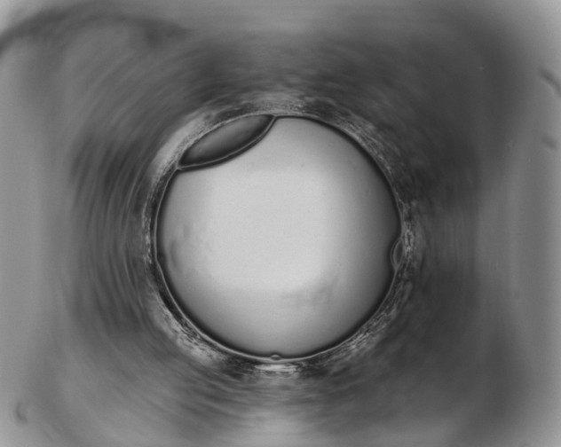 X0000103260053200809121932