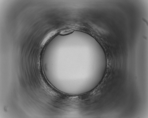 X0000103260054200809121932