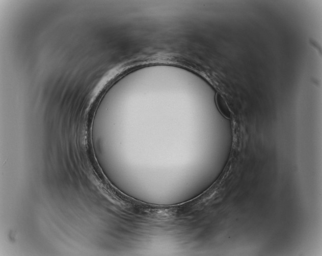 X0000103260056200809121932