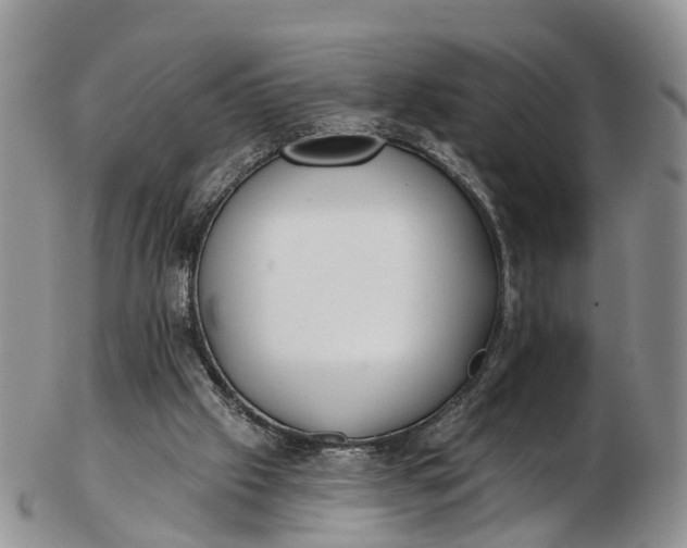 X0000103260057200809121932