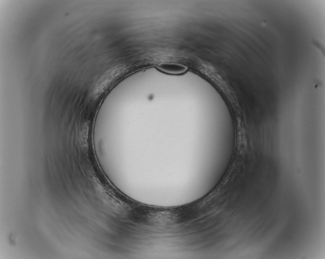 X0000103260058200809121932