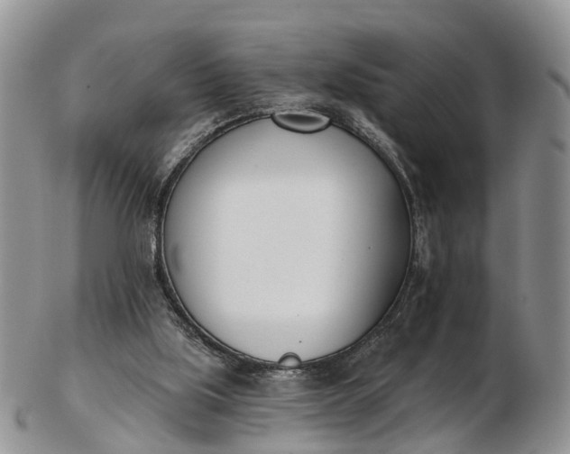 X0000103260059200809121932