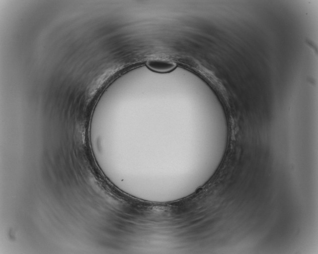 X0000103260060200809121932