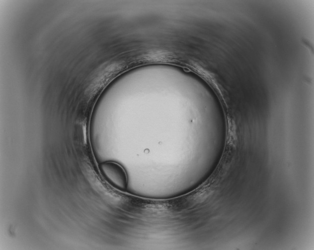 X0000103260061200809121932