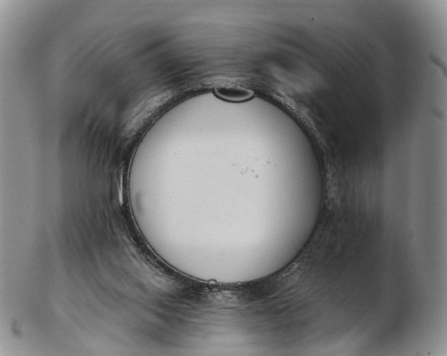 X0000103260062200809121932