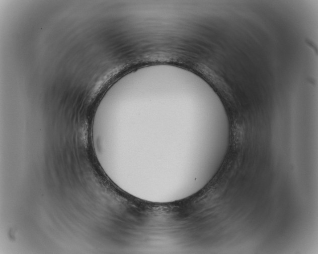 X0000103260064200809121932