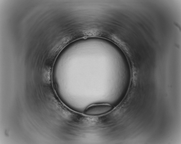 X0000103260065200809121932