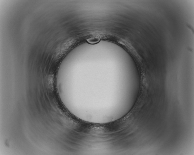 X0000103260066200809121932