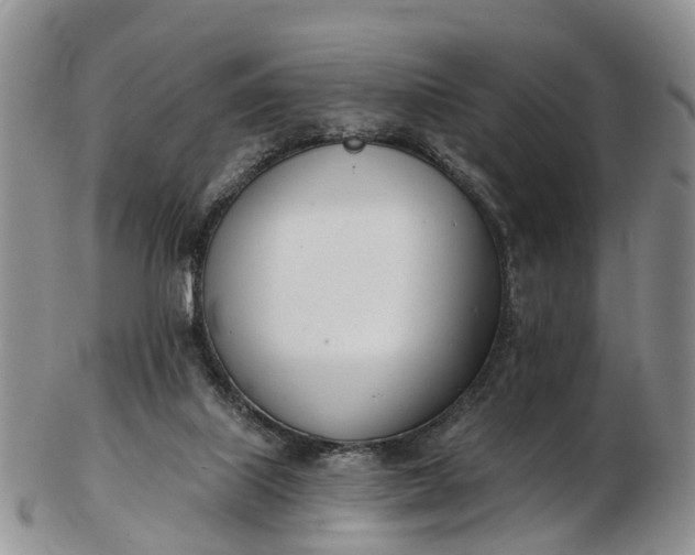 X0000103260067200809121932