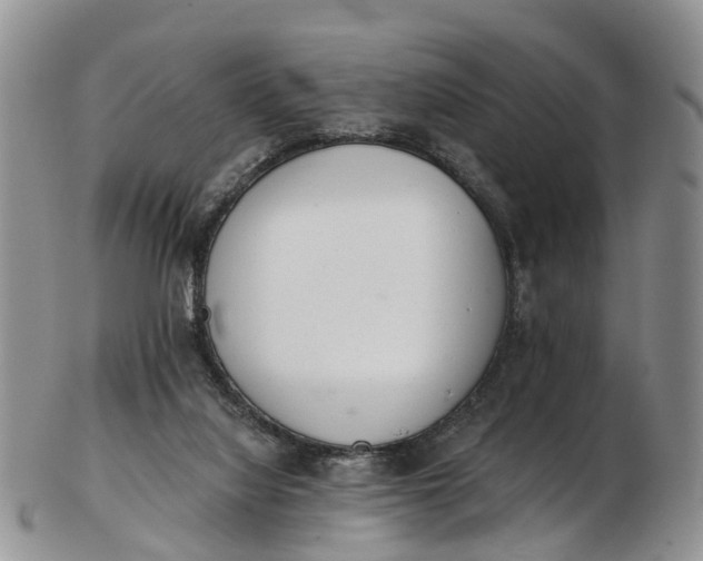 X0000103260068200809121932