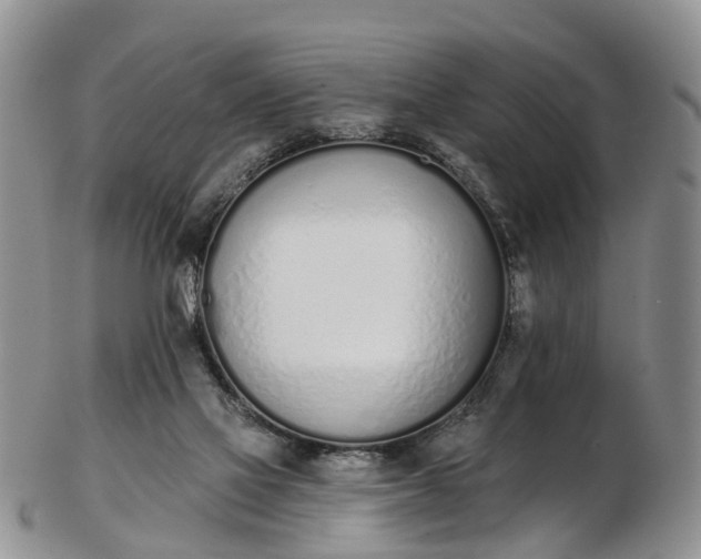 X0000103260069200809121932