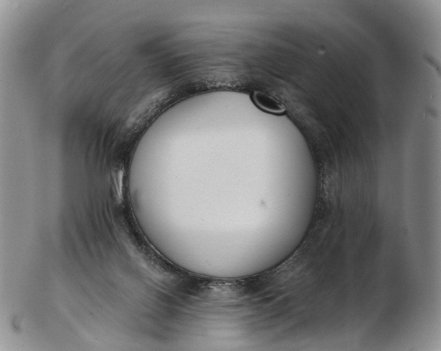 X0000103260070200809121932