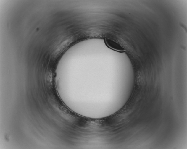 X0000103260072200809121932