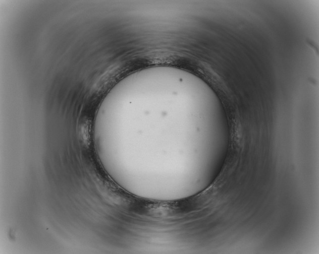 X0000103260074200809121932