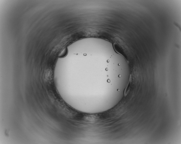 X0000103260079200809121932