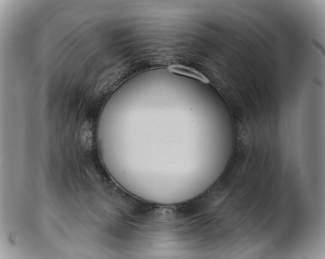 X0000103260080200809121932