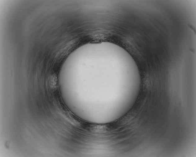 X0000103260081200809121932