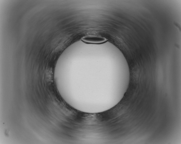 X0000103260083200809121932