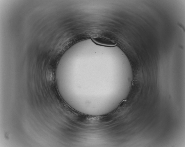 X0000103260084200809121932