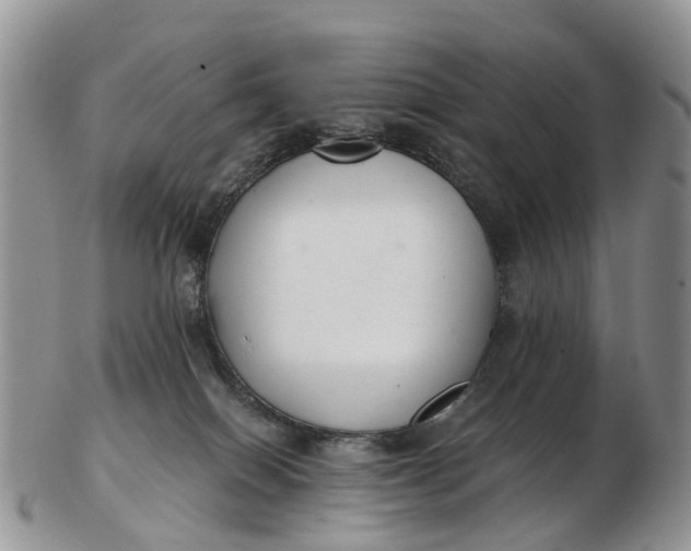 X0000103260086200809121932