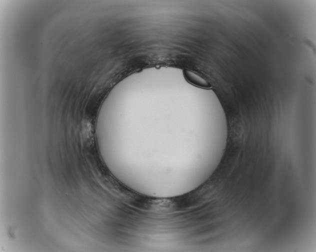 X0000103260087200809121932