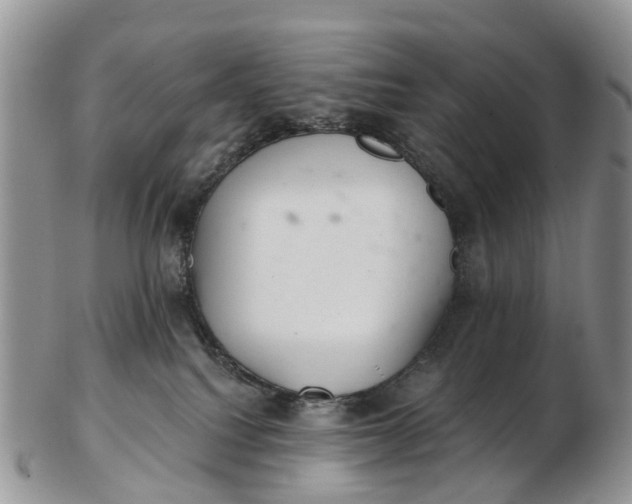 X0000103260088200809121932