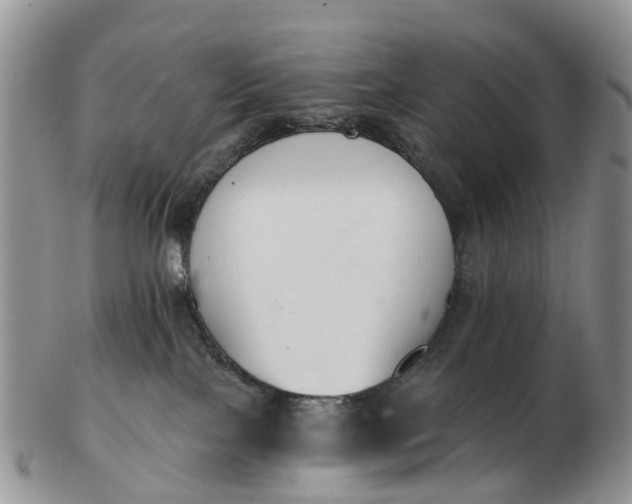 X0000103260089200809121932