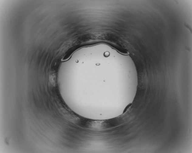 X0000103260090200809121932