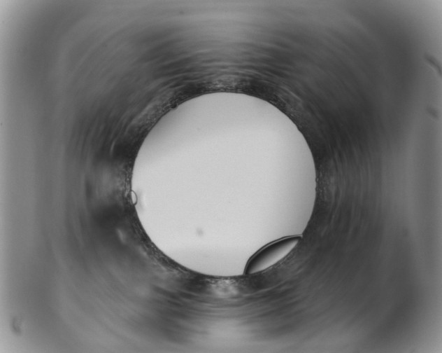 X0000103260091200809121932