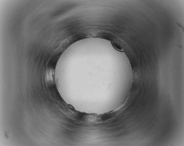 X0000103260094200809121932