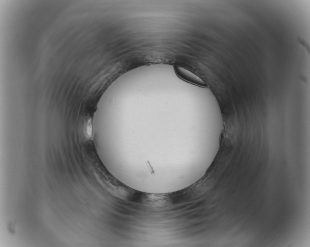 X0000103260095200809121932