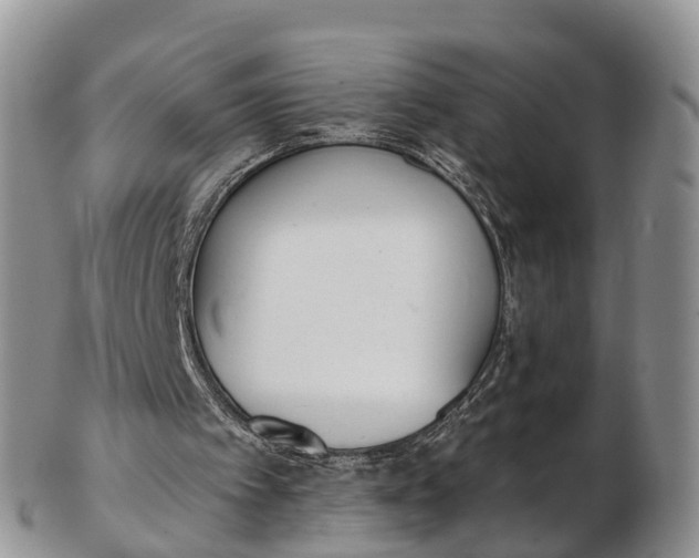 X0000103260097200809121932