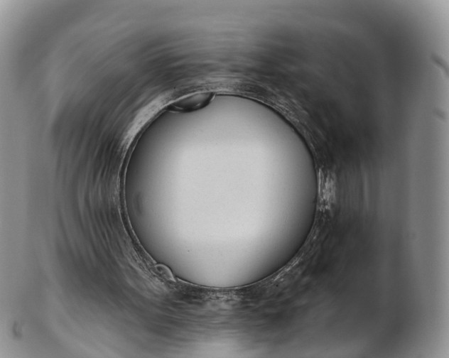 X0000103260099200809121932