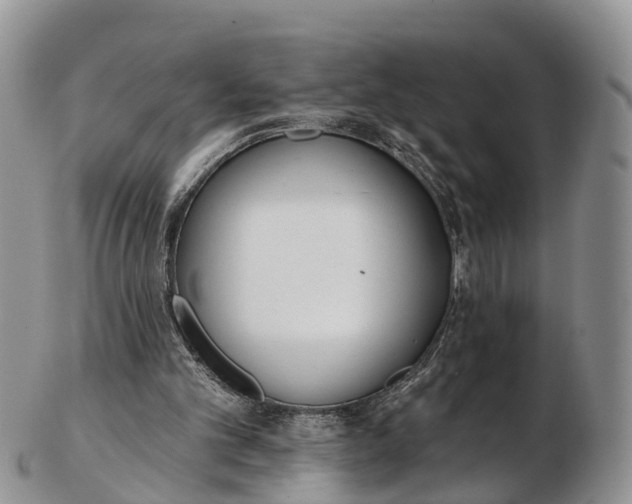 X0000103260101200809121932