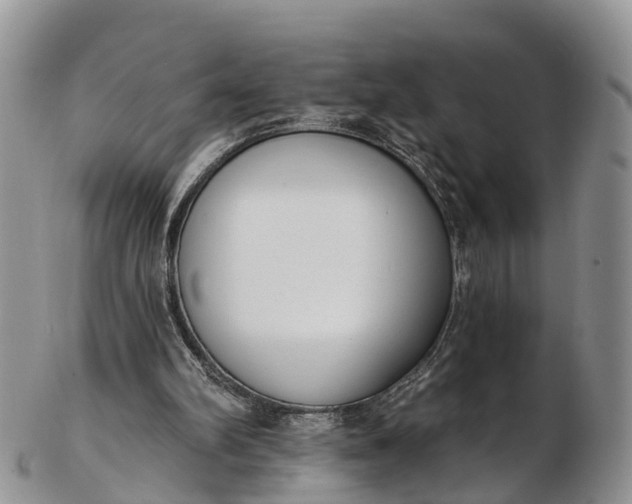 X0000103260102200809121932