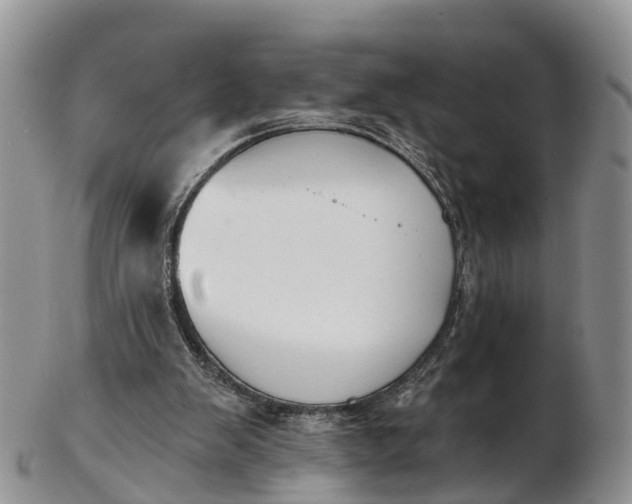 X0000103260103200809121932