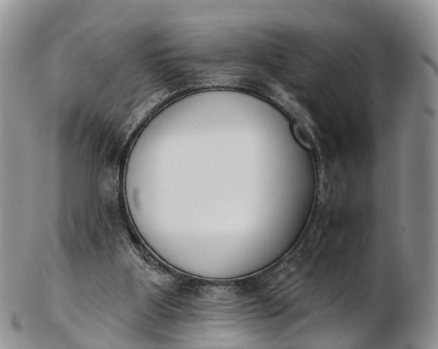 X0000103260107200809121932