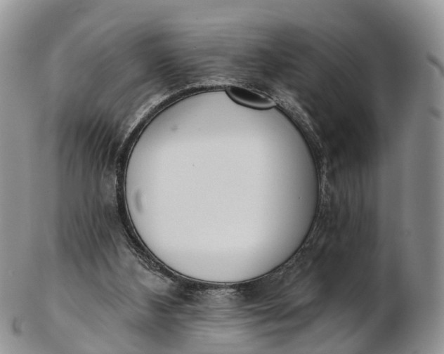 X0000103260108200809121932